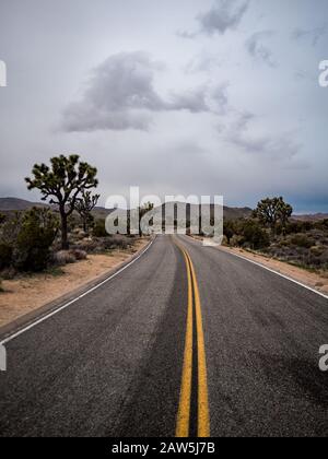 Straße schlängelt sich durch den Joshua Tree National Park unter grauem Himmel Stockfoto