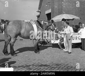 Nationaler Entwurf Pferdeausstellung Veehallen den Bosch Datum: 1. September 1953 Standort: Den Bosch Stichworten: Veehallen Stockfoto