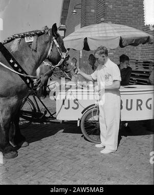 Nationaler Entwurf Pferdeausstellung Veehallen den Bosch Datum: 1. September 1953 Standort: Den Bosch Stichworten: Veehallen Stockfoto