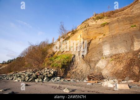 Schutz vor Erosion am Strand durch Holzstämme und Felsen auf Vancouver Island Stockfoto