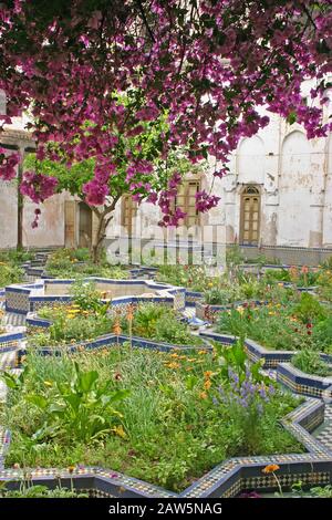 Riad leitet sich vom arabischen Wort für Garten ab und ist typisch für die traditionellen alten Häuser in Marokko. Dieser verfügt über kunstvoll geflieste Pflanzbetten Stockfoto