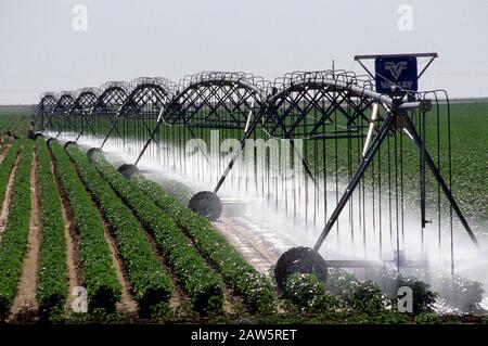 Terry County, Texas: Sommerbewässerung aus dem Ogallala Aquifer für Baumwollanbau. Texas Panhandle. ©Bob Daemmrich Stockfoto