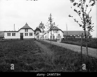 Model Farm Lactaria to Stevensbeek Annotation: Im Jahr 1910 verkaufte die Gemeinde Sambeek 455 Hektar unbebautes Land an J.H.B. Klijnen aus Maastricht. Die die Firma Lactaria SA gründete, ein Bauernhaus für den Bergbau auf. In kurzer Zeit wurde der zugehörige Boden aus unermesslichen Mooren, in Bau und Grünland umgewandelt. Der Anbau und die Ernte gehörten ursprünglich der niederländischen Heidemaatschappij. Die neue "Siedlung" Lactaria bestand aus einer Musterfarm und dreifachen Arbeitern. Datum: Undatierter Ort: Stevens Brook Schlüsselwörter: Bauernhöfe, Gebäude Stockfoto