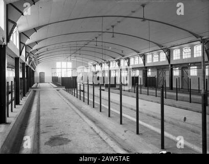 Model Farm Lactaria zu Stevensbeek. Cowshed Annotation: Im Jahre 1910 verkaufte die Gemeinde Sambeek 455 Hektar unbebautes Land an J.H.B. Klijnen aus Maastricht. Die die Firma Lactaria SA gründete, ein Bauernhaus für den Bergbau auf. In kurzer Zeit wurde der zugehörige Boden aus unermesslichen Mooren, in Bau und Grünland umgewandelt. Der Anbau und die Ernte gehörten ursprünglich der niederländischen Heidemaatschappij. Die neue "Siedlung" Lactaria bestand aus einer Musterfarm und dreifachen Arbeitern. Datum: Undatierter Ort: Stevens Brook Schlüsselwörter: Innenräume, Kuhhöfe, Ställe und Scheunen Stockfoto