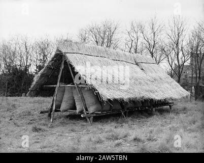 Maisanbau und Tabak, Mais, Trockenregale, Reetchdatum: Undatierte Stichwörter: Trockenregale, Mais, Maisanbau und Tabak, Reetdach Stockfoto