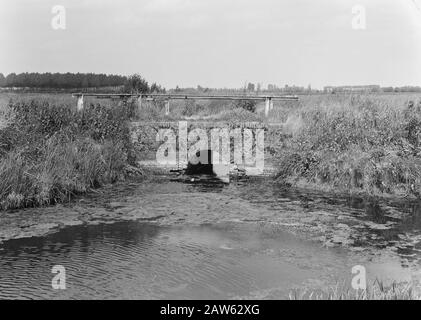 Linie i/Kunstwerk 13 Datum: Undatierter Ort: Gelderland, Opijnenl, Tielerwaard Stichwörter: Taucher und Hecke, Graben und Befüllen von Schützengräben, Strukturen, Legeabflüsse, Rohre, Normalisierung von Bächen Stockfoto