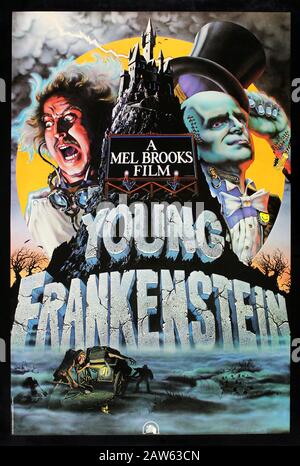 1974 , USA : Das Werbeplakat für den Film YOUNG FRANKENSTEIN ( FRANKENSTEIN JUNIOR ) von Mel Brooks mit Gene Wilder, Peter Boyle, Marty Stockfoto