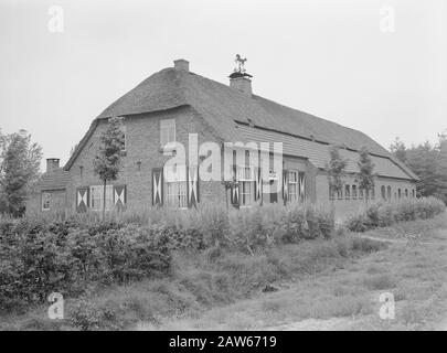 Das gut von Utrechter. Farm Gate Farm Anmerkung: Das Anwesen verdankt seinen Namen der Lebensversicherung Utrechter Insurance NV. Das Unternehmen hat die weiten Moore ab 1898 weit abgebaut. Am 25. Mai 1899 wurde mit dem Abbau der ersten 700 Hektar begonnen. Die Arbeiten wurden vom Heidemij ausgeführt. Schließlich wurde die Heide in 1.800 Hektar Wald und 600 Hektar Ackerfläche umgewandelt und bestand darüber hinaus auch noch 400 Hektar Natur. Datum: Undatierter Ort: Esbeek Stichwörter: Bauernhöfe, Gebäude Stockfoto