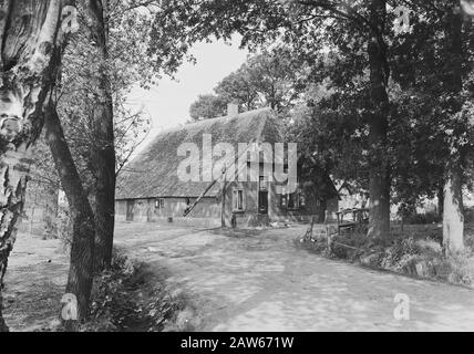 Anwesen Junne. Der Hof Stolte Anmerkung: Das Weilergelände Junne war von 1872 bis 1932 im Besitz der Familie Lüps. Danach fiel das gut in die Hände von M. Baron Bentinck für Buck Horst aus Beerze. Nach dem Tod von Frau Bentinck am 29. Juni 1938 verkaufte das gut für 400.000 Gulden Versicherung Amstleven, den heutigen Delta Lloyd. Anno 2014, das Anwesen noch immer im Besitz von Delta Lloyd. Vor dem zweiten Weltkrieg befand sich in Junne ein Arbeitslosen-Hilfslager, in dem der Nachlass der Versicherung mit staatlicher Unterstützung und unter Führung der niederländischen Heidemaatschappij arbeitslose Arbeitskräfte ableisten musste Stockfoto