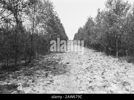 Anwesen Junne. Feuerpause Anmerkung: Das Hamlet Junne war von 1872 bis 1932 im Besitz der Familie Lüps. Danach fiel das gut in die Hände von M. Baron Bentinck für Buck Horst aus Beerze. Nach dem Tod von Frau Bentinck am 29. Juni 1938 verkaufte das gut für 400.000 Gulden Versicherung Amstleven, den heutigen Delta Lloyd. Anno 2014, das Anwesen noch immer im Besitz von Delta Lloyd. Vor dem zweiten Weltkrieg befand sich in Junne ein Arbeitslosen-Hilfslager, in dem der Nachlass der Versicherung mit staatlicher Unterstützung und unter Führung der niederländischen Heidemaatschappij arbeitslose Arbeiter minin abführen musste Stockfoto