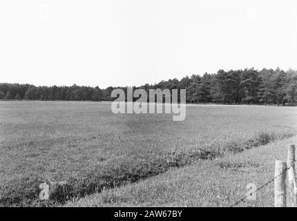 Landgut Junne Anmerkung: Das Weilergelände Junne war von 1872 bis 1932 im Besitz der Familie Lüps. Danach fiel das gut in die Hände von M. Baron Bentinck für Buck Horst aus Beerze. Nach dem Tod von Frau Bentinck am 29. Juni 1938 verkaufte das gut für 400.000 Gulden Versicherung Amstleven, den heutigen Delta Lloyd. Anno 2014, das Anwesen noch immer im Besitz von Delta Lloyd. Vor dem zweiten Weltkrieg befand sich in Junne ein Arbeitslosen-Hilfslager, in dem das gut der Versicherung mit staatlicher Unterstützung und unter der Führung der niederländischen Heidemaatschappij arbeitslose Arbeitskräfte Bergbauaktivitäten ausüben musste Stockfoto