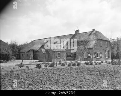 Das gut von Utrechter. Farm Gate Farm Anmerkung: Das Anwesen verdankt seinen Namen der Lebensversicherung Utrechter Insurance NV. Das Unternehmen hat die weiten Moore ab 1898 weit abgebaut. Am 25. Mai 1899 wurde mit dem Abbau der ersten 700 Hektar begonnen. Die Arbeiten wurden vom Heidemij ausgeführt. Schließlich wurde die Heide in 1.800 Hektar Wald und 600 Hektar Ackerfläche umgewandelt und bestand darüber hinaus auch noch 400 Hektar Natur. Datum: Undatierte Stichwörter: Bauernhöfe, Gebäude Stockfoto