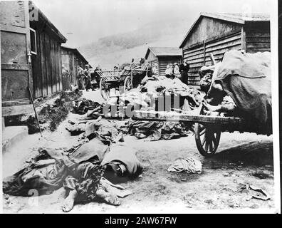 Konzentrationslager in Deutschland Leichen auf Schubkarren gestapelt Anmerkung: Repro Negativ Datum: 1945 Ort: Deutschland Schlagwörter: Konzentrationslager, Terror Stockfoto