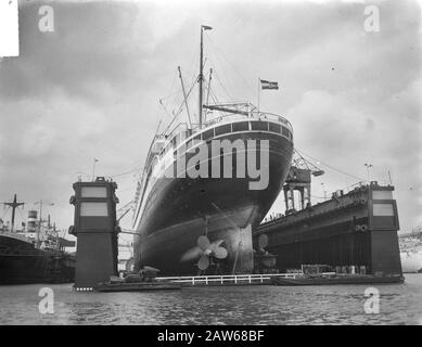 Neues Amsterdamer Dock 46000 Tonnen in Wilton Fijenoord Datum: 11. April 1950 Personenname: Neue Amsterdamer Institution Name: Wilton-Fijenoord Stockfoto
