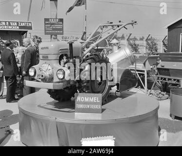 Landwirtschaftsausstellung In Utrechter Datum: 1. Mai 1952 Standort: Utrechter Schlüsselwörter: Agrarhandel Stockfoto