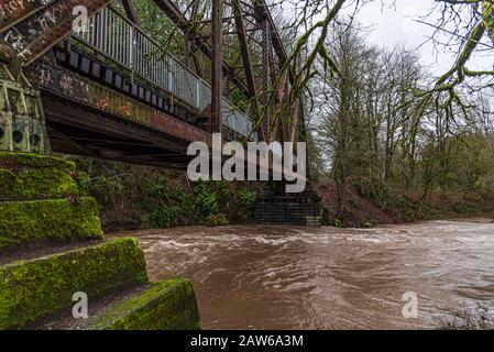 Der Cedar River nähert sich nach vielen Tagen starker Regenfälle und warmer Temperaturen dem Überschwemmungsstadium durch das Stadtzentrum von Renton und verursacht Abwanderung aus den Bergen Stockfoto