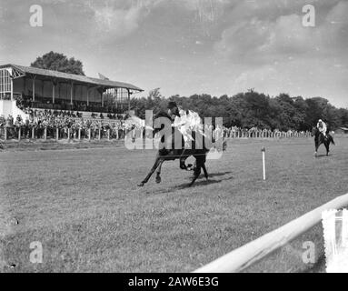 Pferderennen auf Duempelt Datum: 12. August 1956 Ort: Den Haag, South Holland Institution Name: Duempt Stockfoto