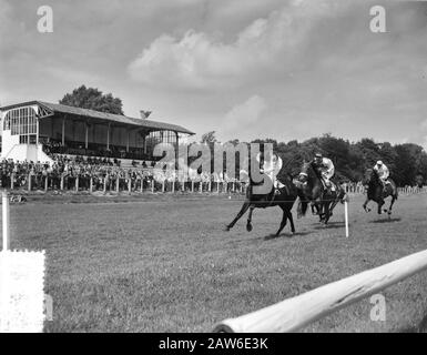 Pferderennen auf Duempelt Datum: 12. August 1956 Ort: Den Haag, South Holland Institution Name: Duempt Stockfoto