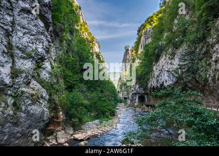 Schlucht des Flusses Jerma (Erma), Balkangebirge (Stara Planina), in der Nähe des Klosters Poganovo, Bezirk Pirot, Serbien Stockfoto