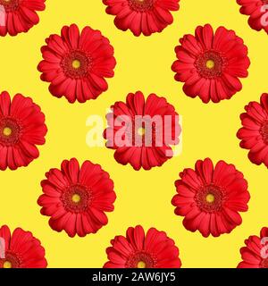 Nahtloses Muster aus roten Gerbera-Blumen auf gelbem Hintergrund isoliert, leuchtend orangefarbene Gänseblümchen-Zierde, sommerlich florale, leuchtende Tapeten Stockfoto