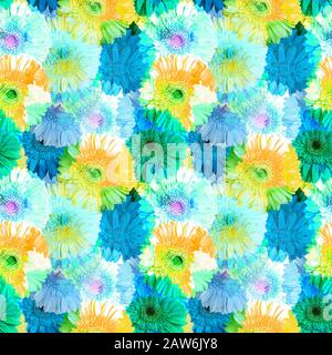 Nahtloses Muster aus blauen und gelben Gerbera-Blumen, lebendiges sommerliches Blumenornament, abstrakte gerberblumentextur, Kunsttapete, trendiger Druck Stockfoto