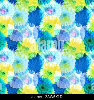 Nahtloses Muster aus blauen und gelben Gerbera-Blumen, lebendiges sommerliches Blumenornament, abstrakte gerberblumentextur, Kunsttapete, trendiger Druck Stockfoto