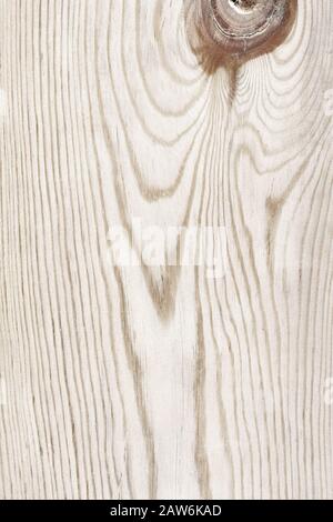Vintage weißes Holz natürliches Muster. Die Textur von mit Kiefern beplanchten Platten wird als Hintergrund verwendet. Stockfoto