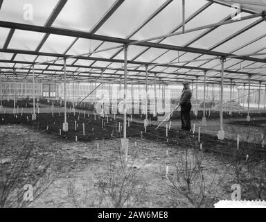 Floriade Rotterdam, 1960 Internationale Gartenbauausstellung Floriade in Rotterdam, offene Kassen der niederländischen Blumenzwiebelkultur Datum: 5. Januar 1960 Standort: Rotterdam, South Holland Schlüsselwörter: Floriades, Gewächshäuser Stockfoto