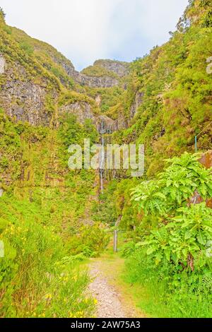 Blick auf 25 Fontes (25 Springbrunnen Wasserfälle) und grünliche Waldlandschaft auf Madeira, der Wander- und Blumeninsel Stockfoto