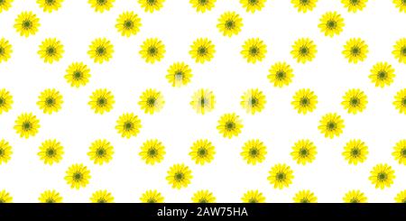 Einfaches Vektor nahtloses Muster mit Blumen. Gelbe Blumen auf weißem Grund. Design für Textil-, Stoff- und Verpackungspapier. Stock Vektor