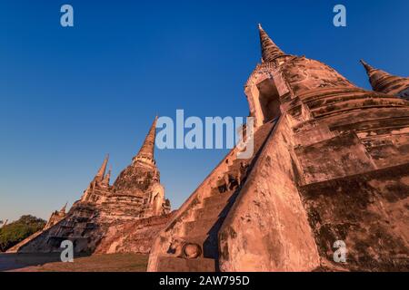 Alte Stupas des Wat Phra Si Sanphet mit streunenden Hunden auf Treppen bei Sonnenuntergang. Ayutthaya, Thailand Stockfoto