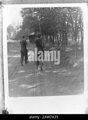 Royal Dutch Princess Irene Brigade in Belgien. Drahteline wird angewendet Datum: September 1944 Ort: Belgien Schlüsselwörter: Invasion, Armee, Soldaten, Telefonie, WWII Institution Name: Prinzessin Irene Brigade Stockfoto