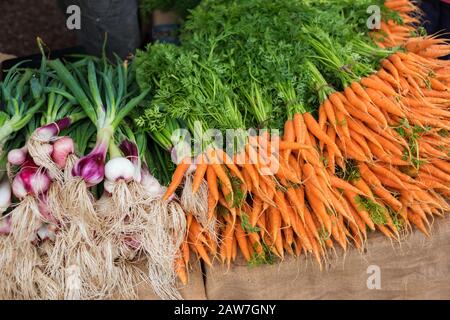 Bauern vermarkten Stall mit leuchtend orangefarbenen Karotten und Frühlingszwiebeln zum Verkauf. Biobauern produzieren Stockfoto