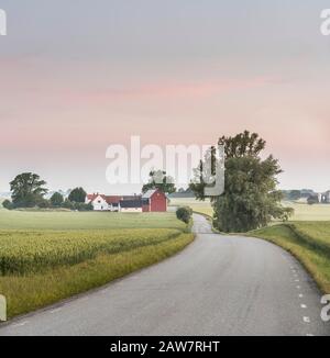 Straße und Hof in ländlicher Landschaft in Soderslatt, Skane, Schweden, Skandinavien. Stockfoto