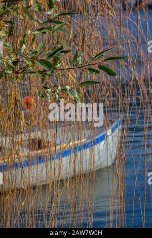 Eine schöne Aussicht - Olivenzweige und Äste einer weinenden Weide vor dem Hintergrund eines Bootes im See. Stockfoto