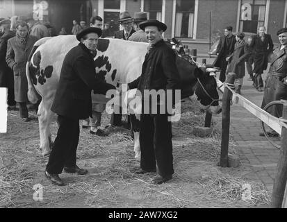 Oster Cattle Market in Goes Datum: 6. März 1951 Ort: Goes Keywords: Händler, Tiere, verkaufen Stockfoto