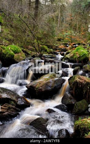 Wyming Brook, Naturreservat, Wasserfallkaskaden, Peak District, Sheffield, England, Großbritannien Stockfoto