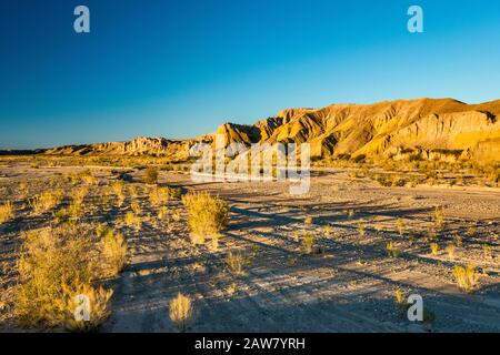 Tornillo Creek, trockenes Flussbett in der Chihuahuan-Wüste, in der Nähe von Rio Grande Village, Big Bend National Park, Texas, USA Stockfoto