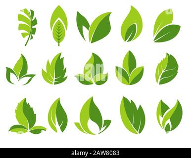 Grüne Lamelle und Blätter abstrakte Symbole gesetzt Stock Vektor