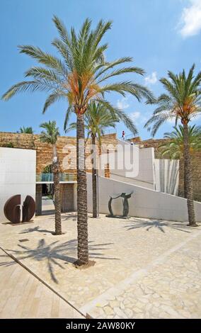 Palma de Mallorca, Spanien - 25. Juni 2008: Palmen auf der Terrasse des Museums Es Baluard Museum d'Art Modern i Contemporani de Palma Stockfoto