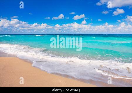 Strand tropisch mit Sand und türkisfarbenem Wasser unter blauem Himmel. Schöne Landschaft mit türkisfarbenem Meer. Horizont-Linie im Hintergrund. Stockfoto