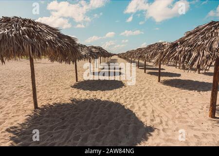 Viele reetgedeckte Sonnenheime. Sonnenschirme stehen in einer Reihe auf dem Sand in einem Resort am Varadero-Strand in Kuba Stockfoto