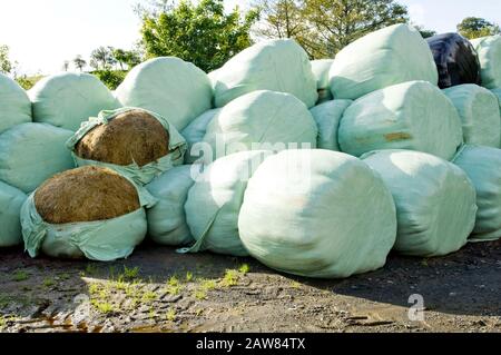 Heuballen, die in einem Hof mit Kunststoff bedeckt sind. Stockfoto