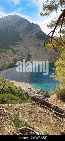 COLL Baix berühmte Bucht mit Strand, Mallorca, Spanien - Blick von oben - vertikales Panorama Stockfoto