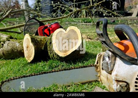 Liebe ist überall: Herzform im Baumlog mit Kettensäge im Vordergrund Stockfoto