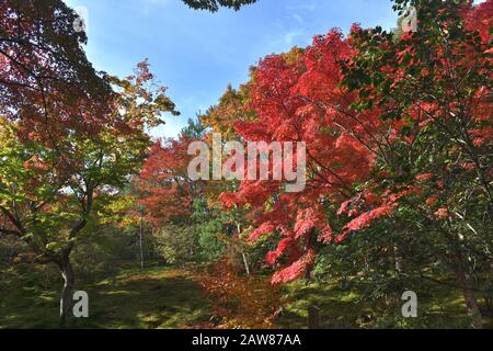 Bogen Teichgarten des Tenryu JI in Kyoto, Japan Stockfoto