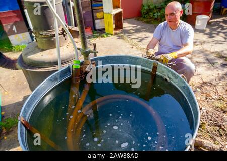 Kondensator aus verdrehtem Kupferrohr, das in spiraliger Form in kaltem Wasser zur Kühlung von Alkoholdampf verbogen ist. Moonshine-Schnaps, alkoholisch sein Stockfoto