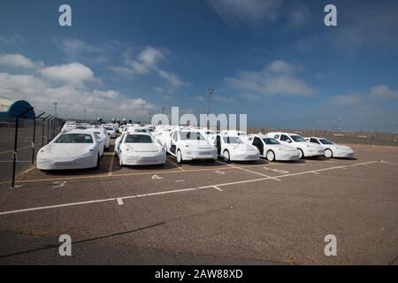 Neue Autos importiert und exportiert aus dem Hafen Stockfoto