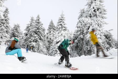 Oberwiesenthal, Deutschland. Februar 2020. Junge Wintersportler fahren auf dem Fichtelberg durch den Winterwald. Am selben Tag beginnen die zweiwöchigen Winterferien in Sachsen. Nach den warmen Tagen mit viel Regen hoffen die sächsischen Skigebiete nun wieder auf kaltes Wetter und Schneefall. Kredit: Jan Woitas / dpa-Zentralbild / dpa / Alamy Live News Stockfoto