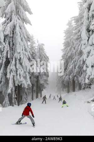 Oberwiesenthal, Deutschland. Februar 2020. Wintersportler fahren auf dem Fichtelberg durch den Winterwald. Am selben Tag beginnen die zweiwöchigen Winterferien in Sachsen. Nach den warmen Tagen mit viel Regen hoffen die sächsischen Skigebiete nun wieder auf kaltes Wetter und Schneefall. Kredit: Jan Woitas / dpa-Zentralbild / dpa / Alamy Live News Stockfoto